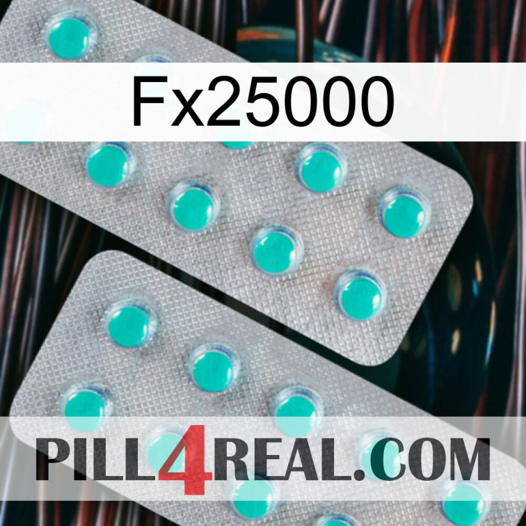 Fx25000 29